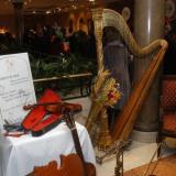 Jornada 14 de Casamientosonline